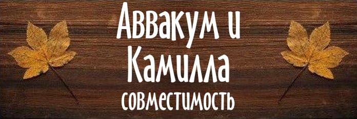 Совместимость имен