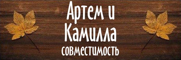 Совместимость имен