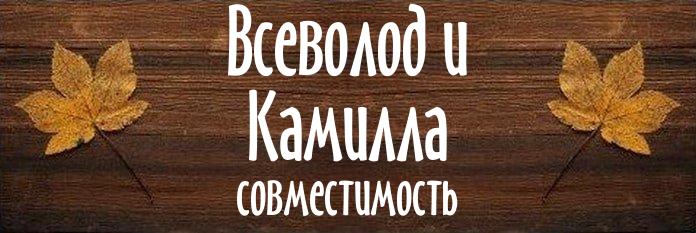 Совместимость имен