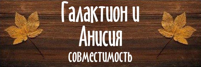 Совместимость имен