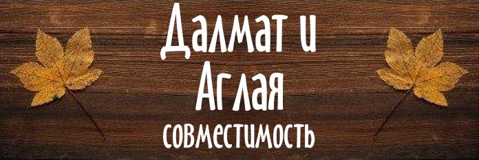 Совместимость имен