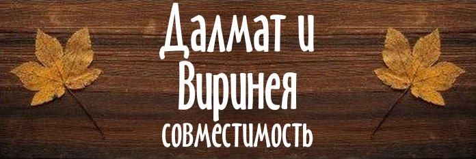 Совместимость имен