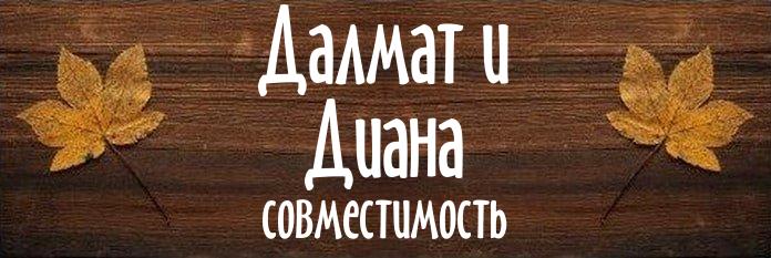 Совместимость имен