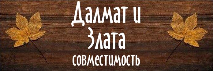 Совместимость имен