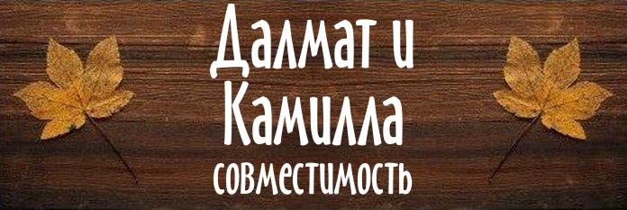 Совместимость имен