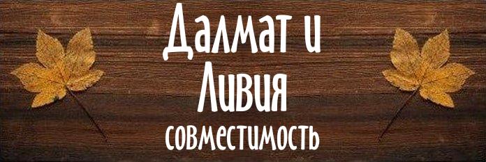 Совместимость имен