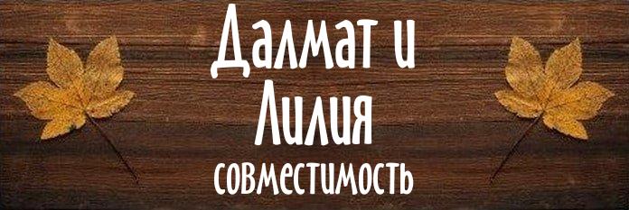 Совместимость имен