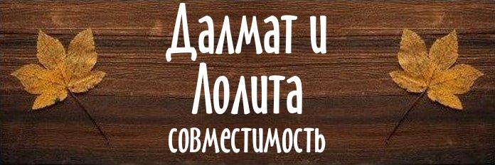 Совместимость имен