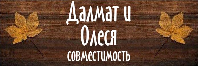 Совместимость имен