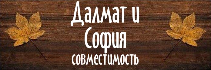 Совместимость имен