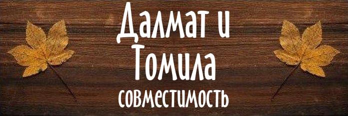 Совместимость имен