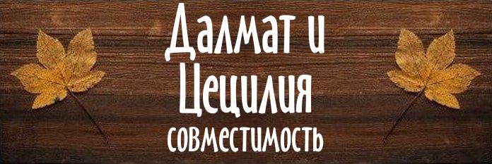 Совместимость имен