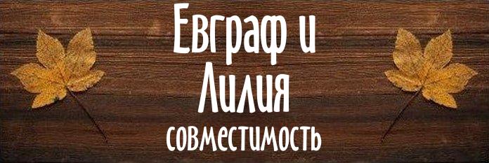 Совместимость имен