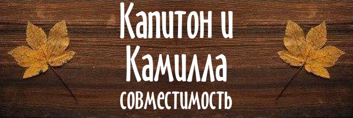 Совместимость имен