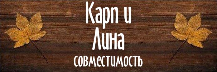 Совместимость имен