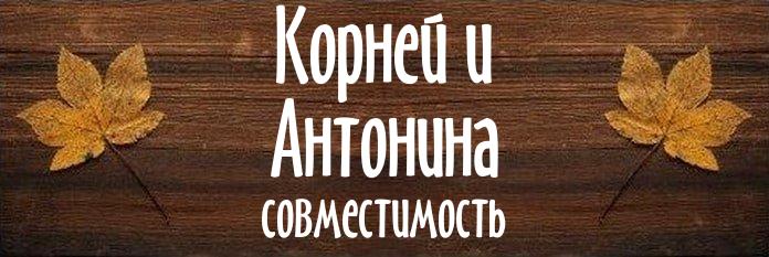 Совместимость имен