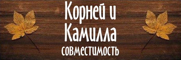 Совместимость имен