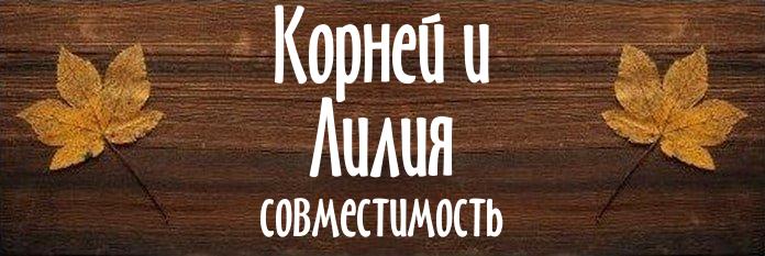 Совместимость имен