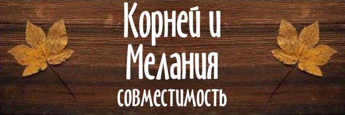 Совместимость имен