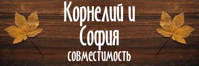 Совместимость имен