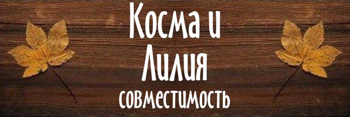 Совместимость имен