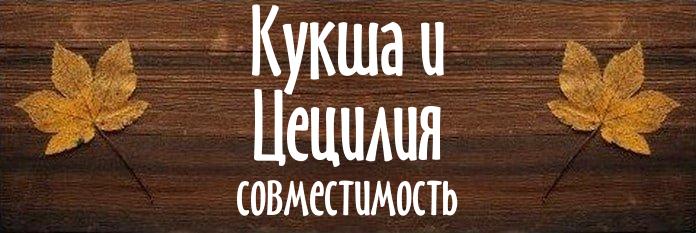 Совместимость имен