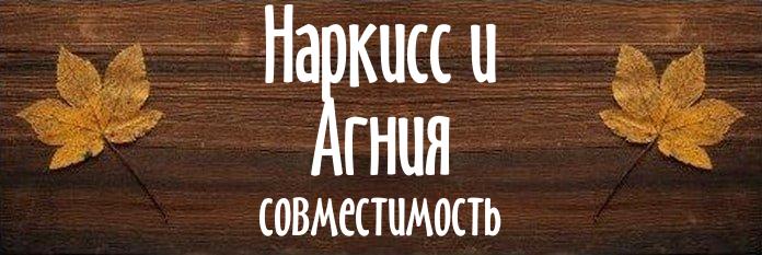 Совместимость имен