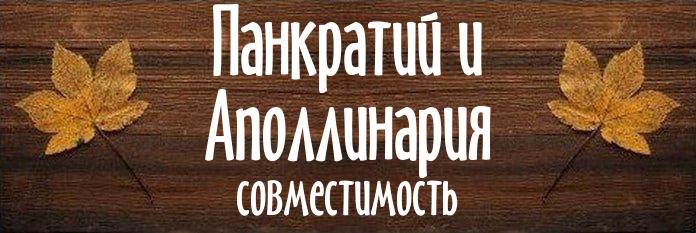 Совместимость имен