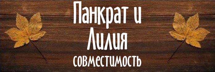 Совместимость имен