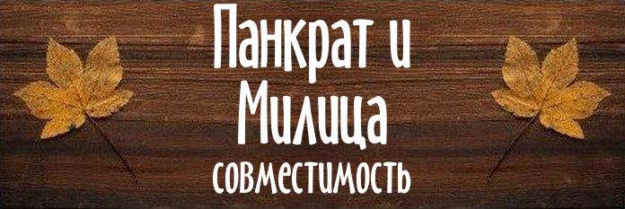 Совместимость имен