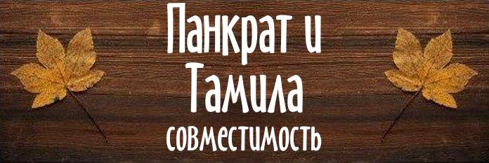 Совместимость имен