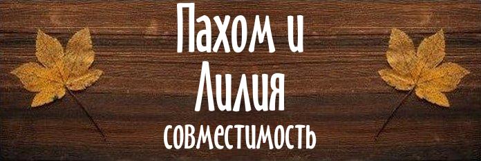 Совместимость имен