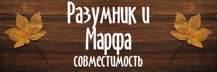 Совместимость имен