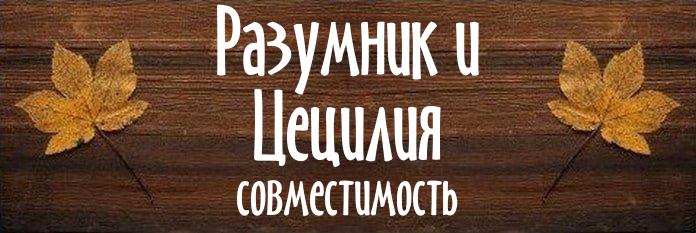 Совместимость имен