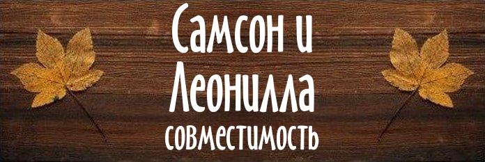 Совместимость имен