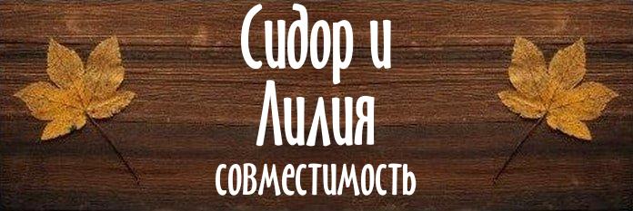 Совместимость имен