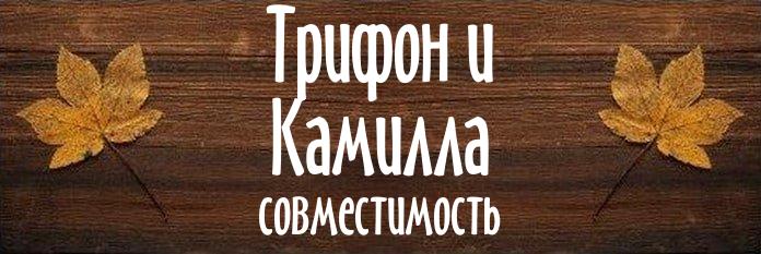 Совместимость имен