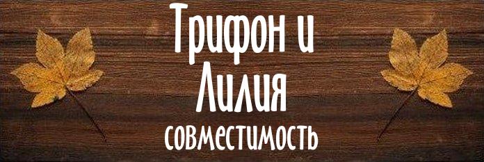 Совместимость имен