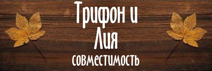 Совместимость имен