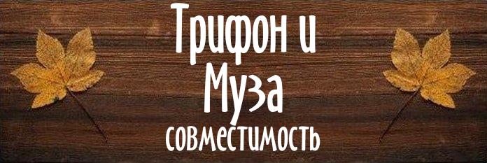 Совместимость имен