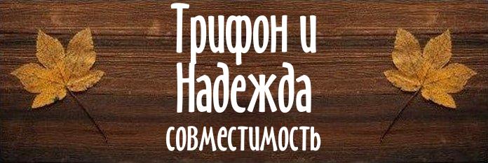 Совместимость имен