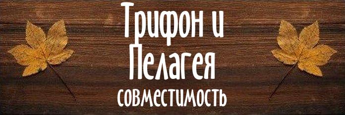 Совместимость имен