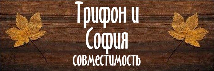 Совместимость имен